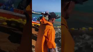 Outdoor Fishing Full Harvest 🎣 Big Catch Day!#Fishing #OutdoorFishing #FishCatch #FishingLife