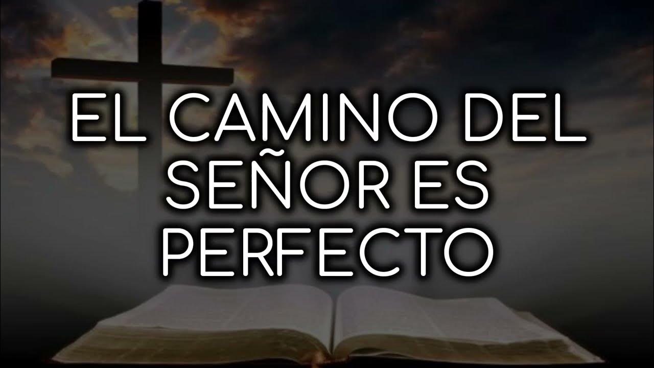 Marcos Barrientos El Camino Del Señor Es Perfecto EL CAMINO DEL SEÑOR ES PERFECTO - Marco Barrientos (letra) - YouTube