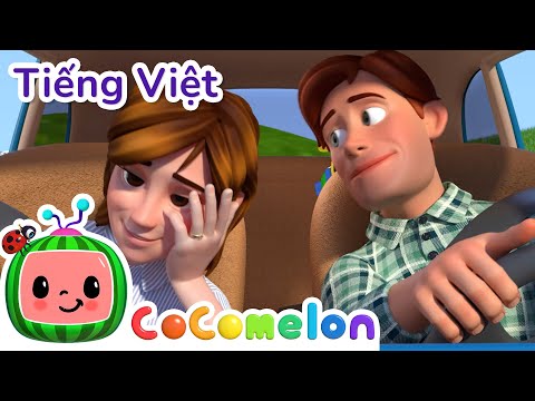 Video: Colo là viết tắt của gì?