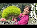 岡田桃佳の「稲穂の心#2」泥だらけの手植え