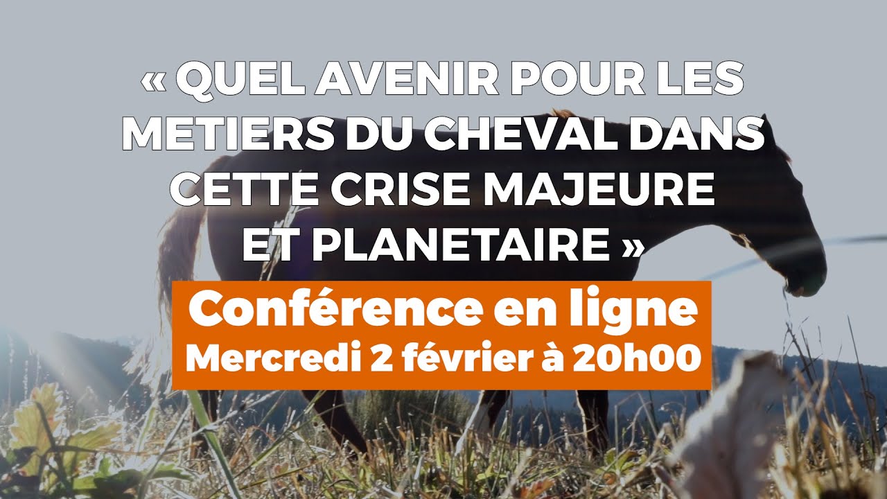 Quel avenir pour les métiers du cheval dans cette crise majeure et planétaire&nbsp;?