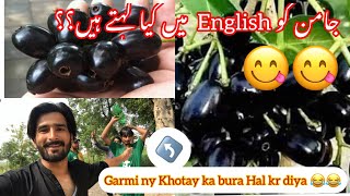 Itni Garmi ️or Hum 4 | جامن کھا نے کا تو مزہ آگیا  | vlog