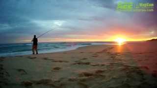 Surf Fishing - AEE MAGICAM (SD21/CD21)