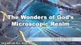 The Wonders of the Microscopic World: Exploring the Hidden Realm of Microorganisms ile ilgili video