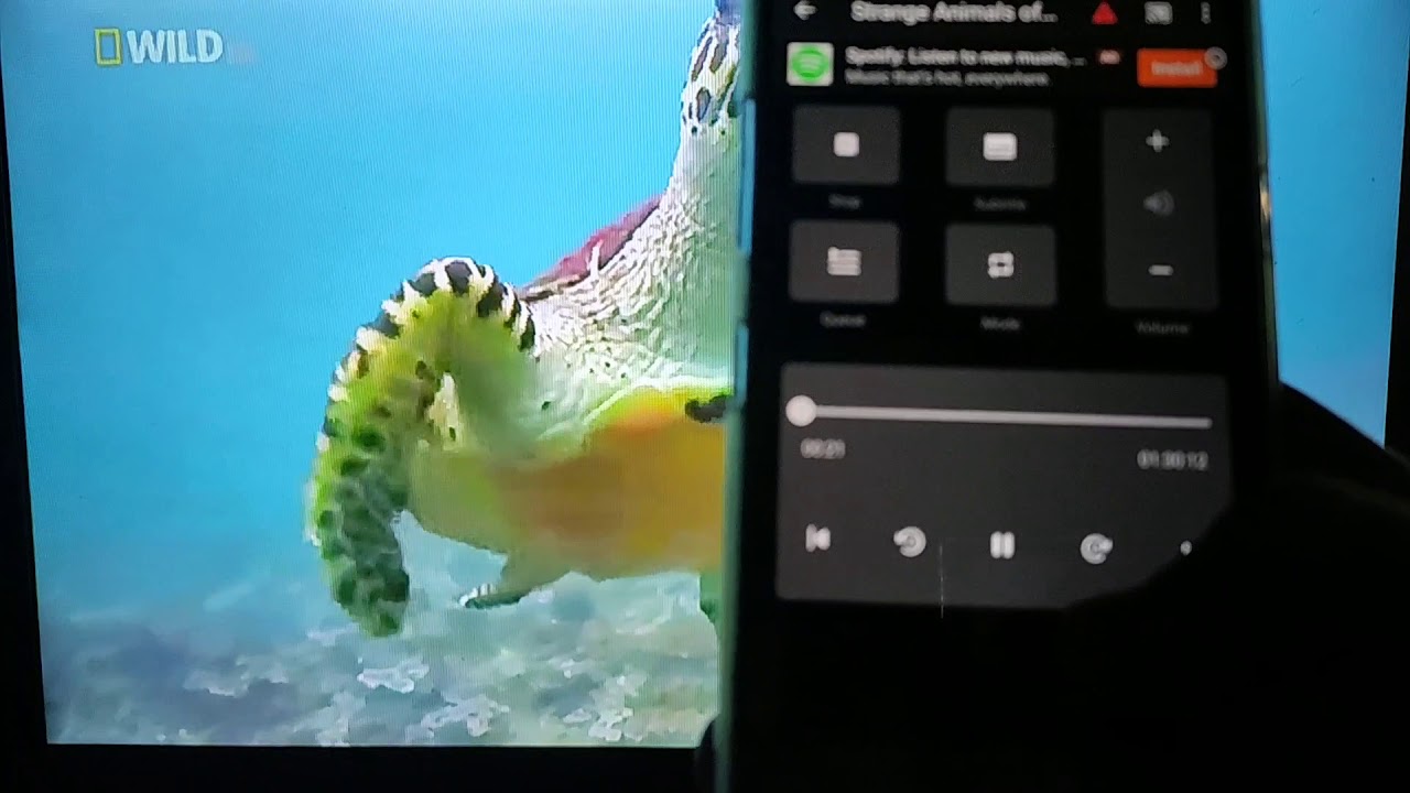 lg-k40-screen-mirroring-to-roku-fire-tv-stick-android-tv-youtube