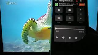 Lg K40 Screen Mirroring To Roku, Fire Tv Stick, Android Tv