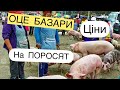 БАЗАРИ Все🐷👇🔥ЦІНИ на МАЛИХ ПОРОСЯТ, Комбікорм для СВИНОМАТОК