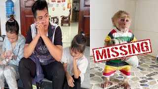 Mom, Dad and sister cried sadly when there was no trace of SinSin the monkey