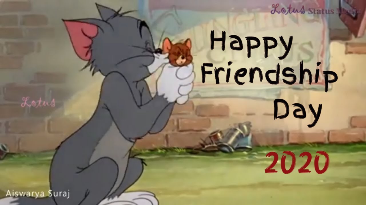 Tom and Jerry friendship status | Happy friendship day 2020 ...