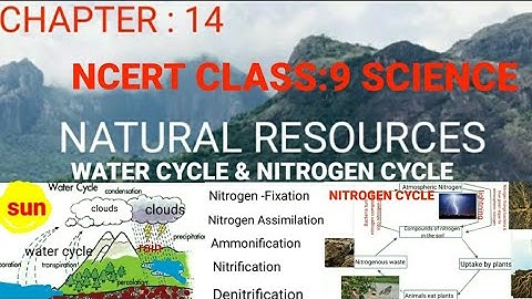 #CBSE CLASS:9#Chapter:14 NATURAL RESOURCES Part:3 Water Cycle&Nitrogen Cycle Explanation in English