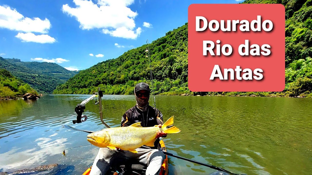 NUNCA Pensei que Pegaria o DOURADO Do Rio das Antas Dessa Maneira!