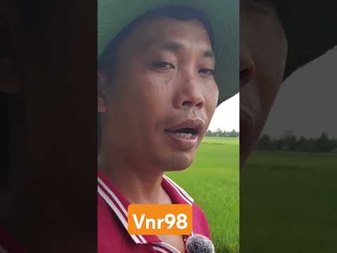 đánh giá về