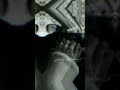 انت ما تطلب ترا تامر امر انت حاجه لازم تستمر اغاني بيش