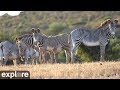 African safari camera powered by exploreorg