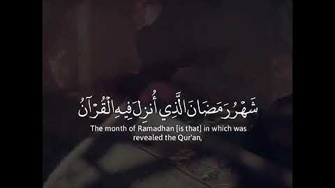 من أجمل الاصوات تلاوة للقارئ وديع اليمني