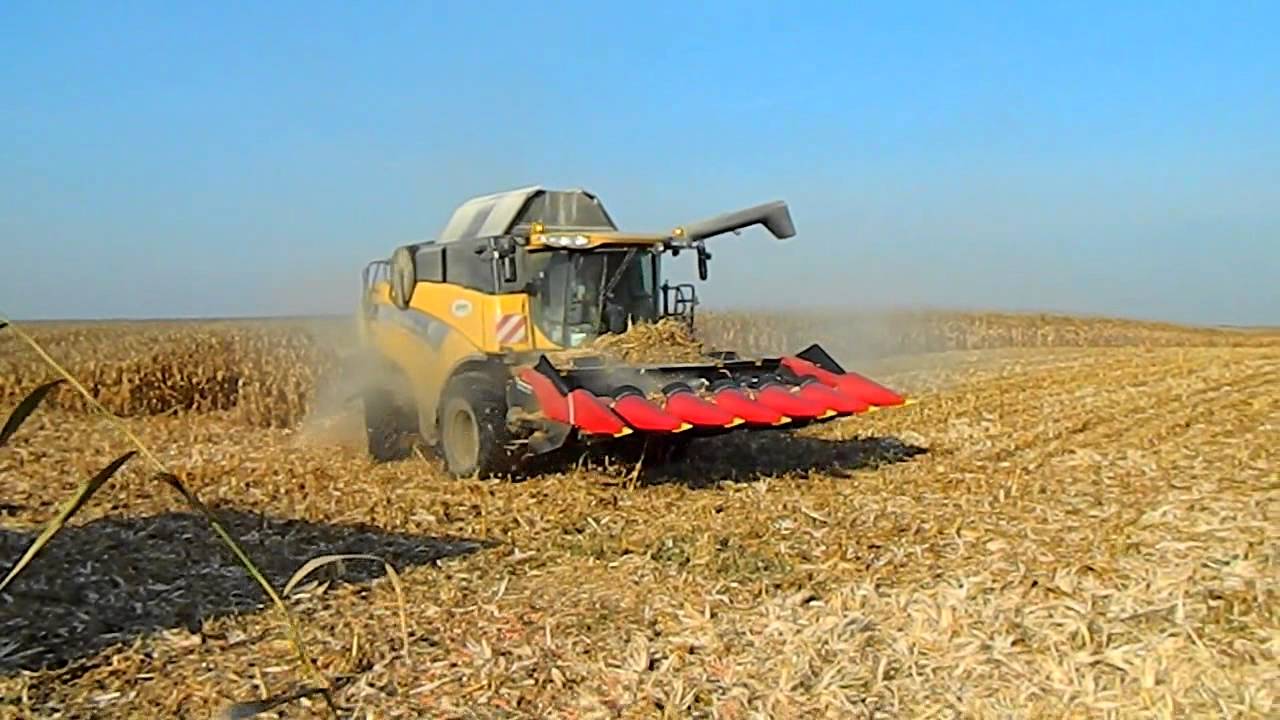 Kukorica betakarítás 2011