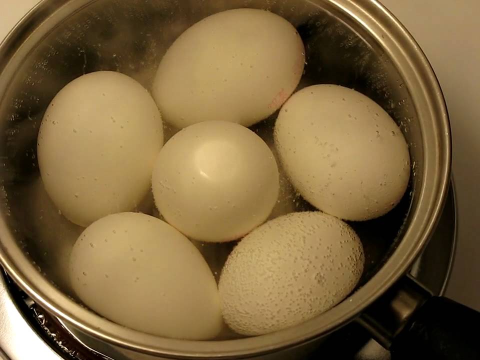 Eggs Boiling. - YouTube