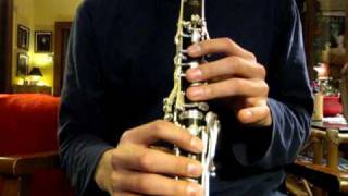 Super Mario Bros. on Clarinet