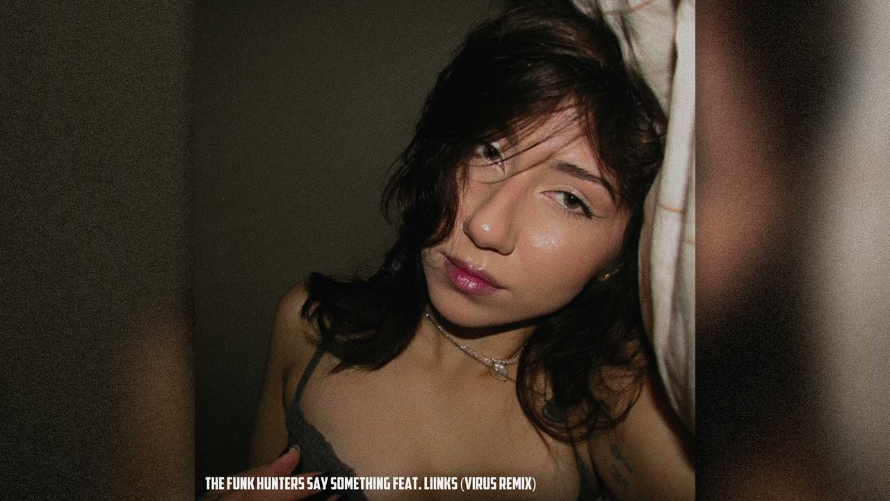 The Funk Hunters - Say Something feat  LIINKS (virus remix)