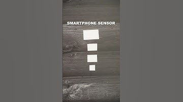 Camera Sensor Sizes Explained 📸