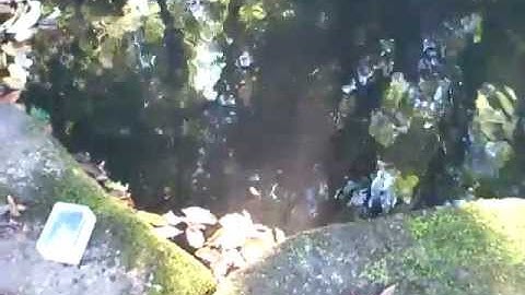 Seeeduino Stalker with Water proof enclosure