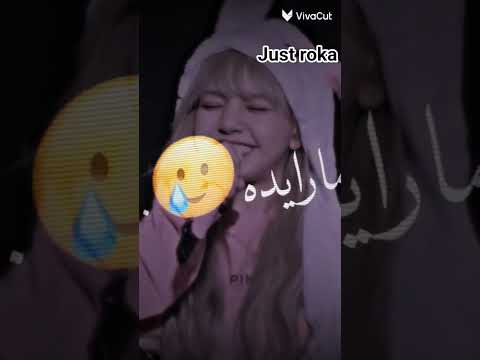 جابوني ماس ولولي