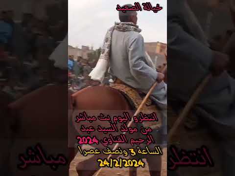 مولد السيد عبد الرحيم القنائي 2024 الفارس بدري عبد الكريم