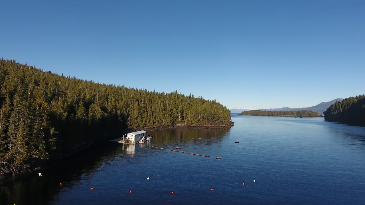 Hump Island Oyster Farm Ketchikan Alaska YouTube