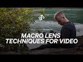 MACRO VIDEOGRAPHY - Beginner Tips For Macro Filmmaking