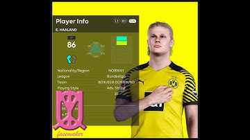 INTERFACE MOD - CHANGE INTERFACE POSE BY UQIYA