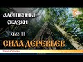 Алёшкины сказки. Сказ 11. Сила деревьев