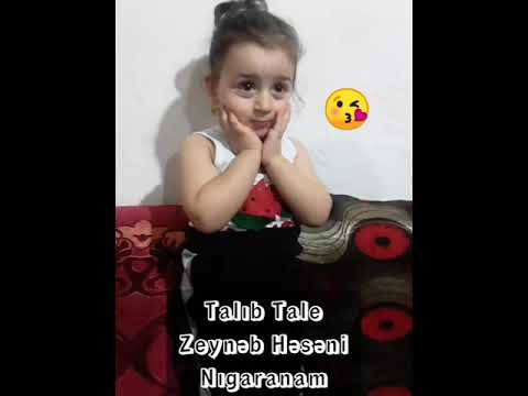 talib tale - zeyneb heseni / nigaranam.