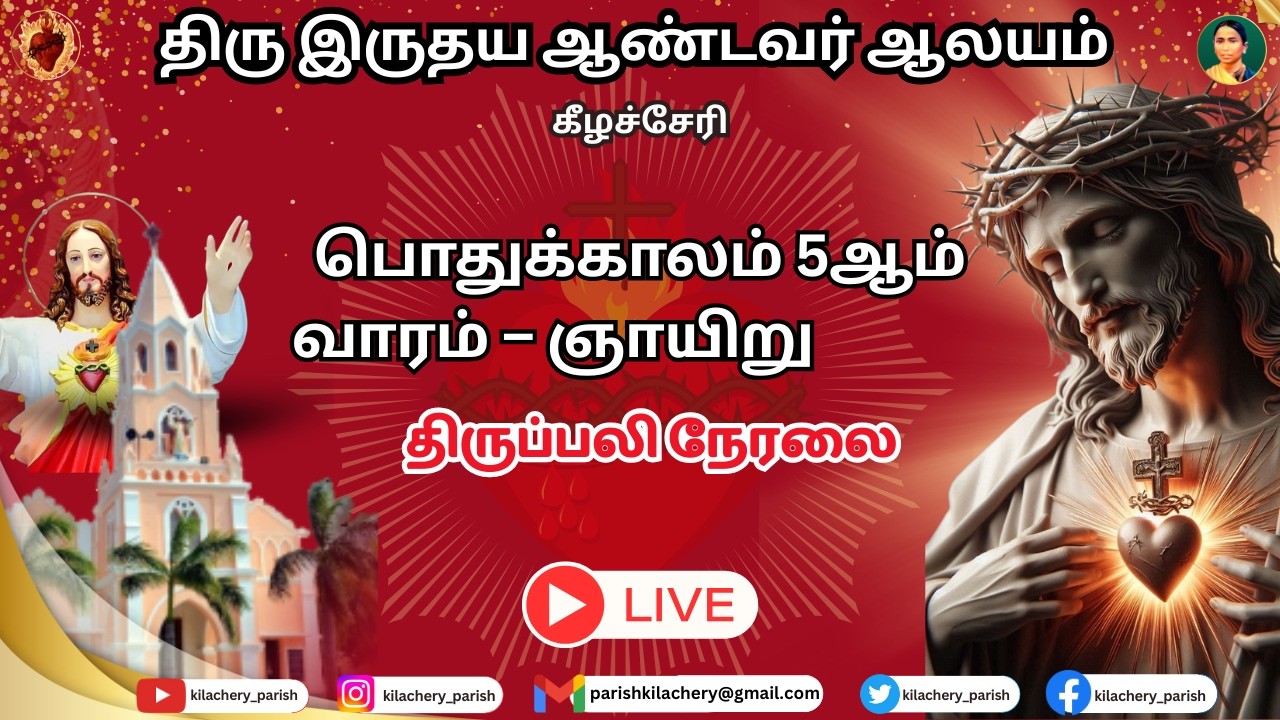 திருப்பலி நேரலை