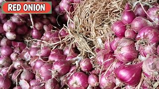 DILUAR DUGAAN BOLO...!!! HARGA BAWANG MERAH HARI INI, SABTU, 28/2/2026 DI PASAR PROBOLINGGO
