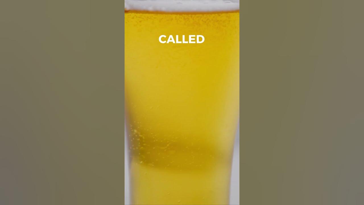 the-ultimate-brew-tasting-the-world-s-strongest-beer-shorts-youtube