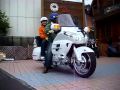 美人タンデム　HONDA GL1800 Goldwing 1800　ゴールドウイング　GOLDWING