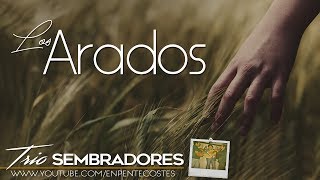 Video thumbnail of "Los arados - Trio Sembradores"