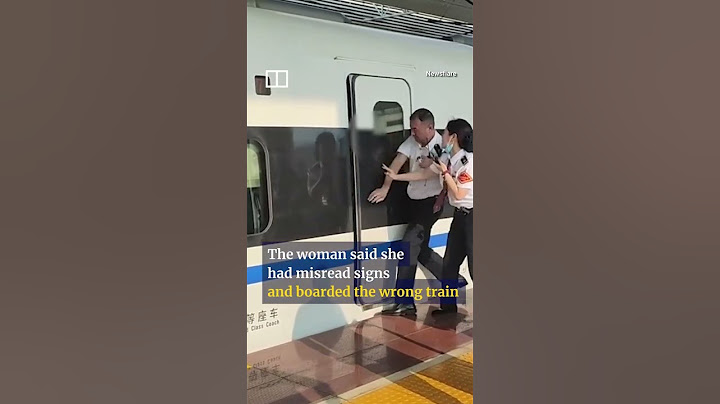 Woman Gets Trapped by Train Door at Full Speed