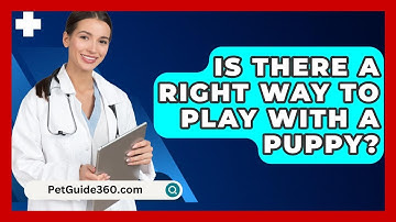 Is There A Right Way To Play With A Puppy? - PetGuide360.com