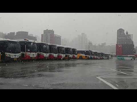 부산에  기습폭설