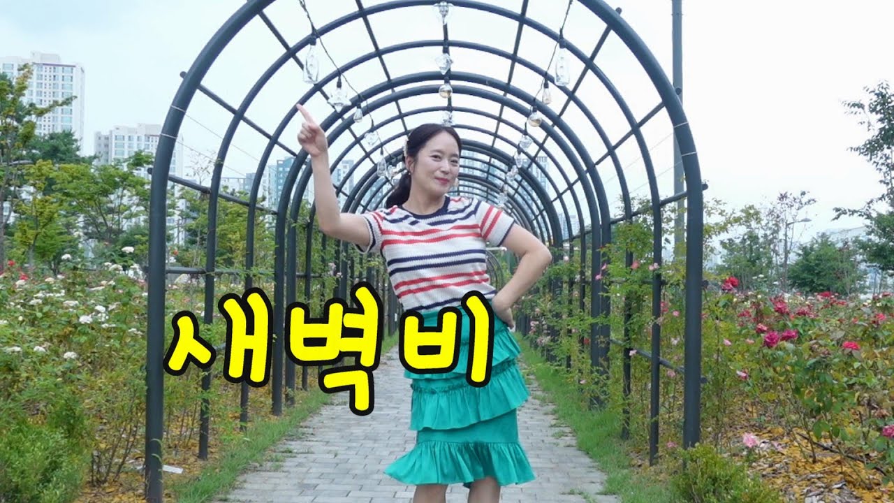 [실버체조] 새벽비