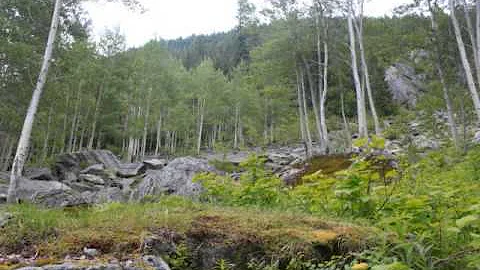 Hiking Heart Lake 2013