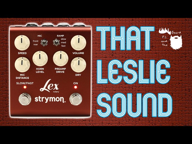 Strymon Lex V2 Demo & Review | Every Knob, Every Switch - That