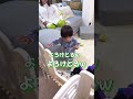 元気すぎる1歳赤ちゃんに振り回される豆柴w【柴犬】#Shorts
