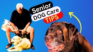 how to care for a senior dog's health and well being | Tips #thedodo  #seniordogcaretips by New Pet Society - Pet Life No views 5 months ago 3 minutes, 13 seconds