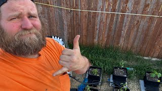 Autopot garden is setup! Little review and breakdown! by Hunter Young 146 views 1 month ago 7 minutes, 3 seconds