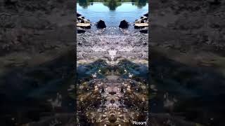 water spirits #water#nature#spirits#relaxing#meditation#healing#h2o#sound#wasser#klang#bilder#shorts