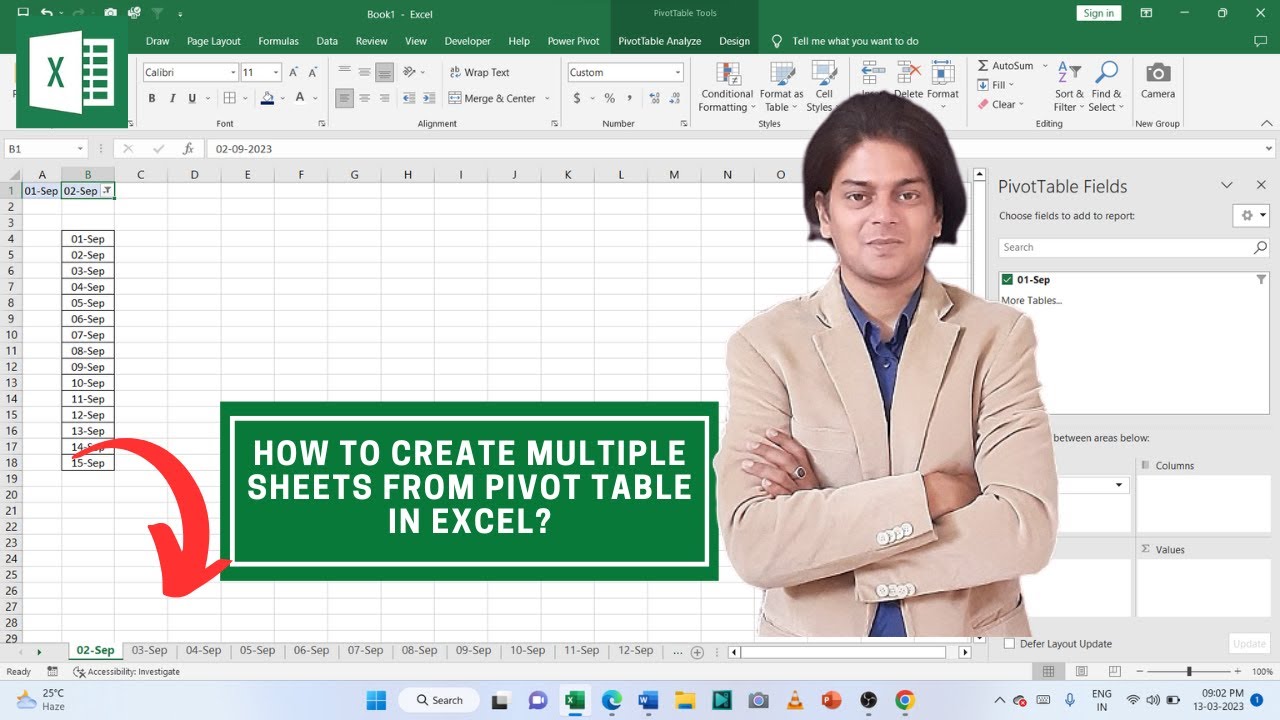 Excel Create Multiple Sheets From Pivot Table