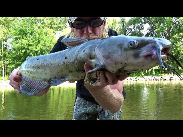Survival Fishing - Handline Catch and Campfire Cook Catfish On A