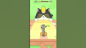HIDE AND SEEK: CAT ESCAPE LVL 243-244 #catescapegame #catgames #cat #shorts